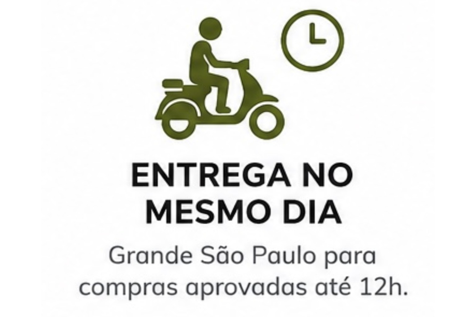 entrega no mesmo dia